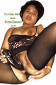 Erotic Teasers Volume 036 Front